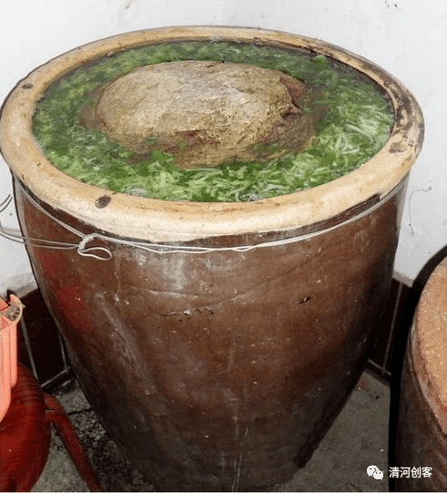 【夜读】烂腌菜