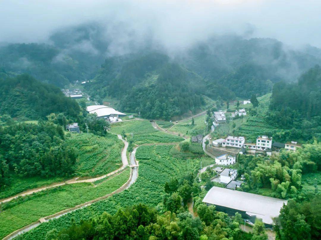 图说纪事丨护航脱贫攻坚战 旧貌换新颜_桃坪村