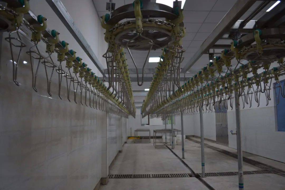 富宁首家,安好农贸市场禽类加工厂试运行!每小时可屠宰2000只