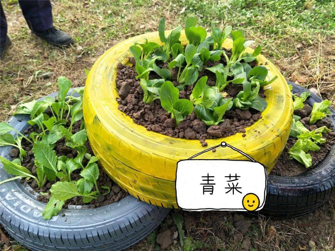 旧轮胎也能破解社会治理难题这个村把变废为宝发挥到了极致