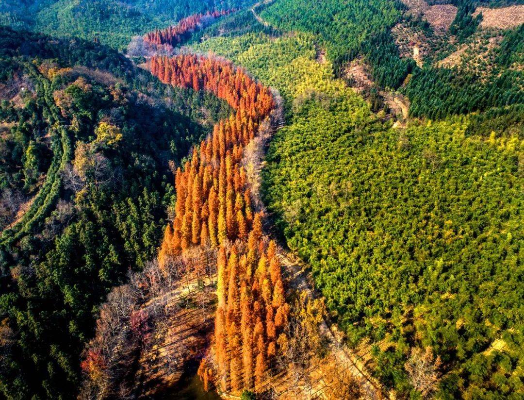 美出天际大径山乡村国家公园建设进展来啦