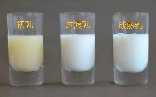 你中了断奶的6个月魔咒吗母乳不是想断就断注意2对1慢