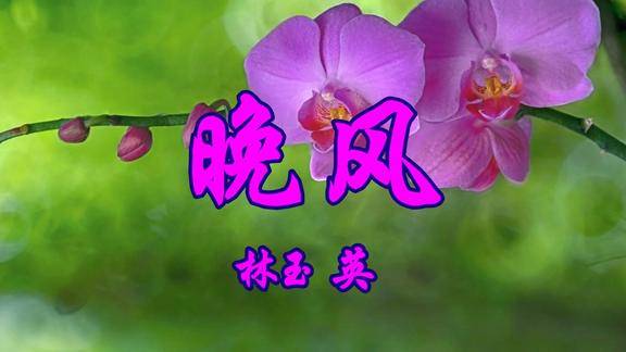 经典老歌林玉英一首晚风太美太醉人