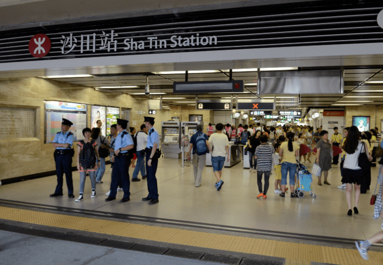 沙田地铁站的墙壁发现化石