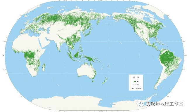 【地理观察】专业解读森林的分类和演替过程，附中国的森林种类_针叶林