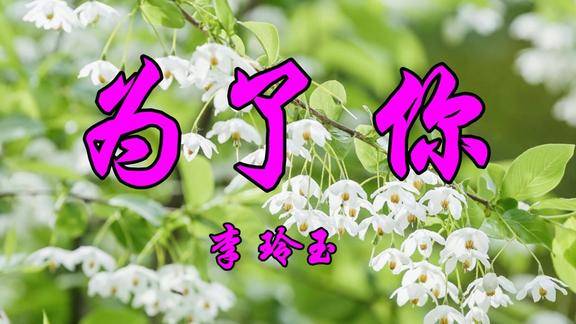 怀旧老歌李玲玉演唱为了你甜美醉人