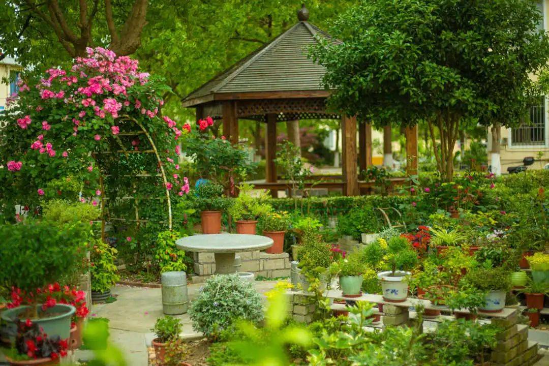 奉浦街道奉浦大道95弄269号获评2020年区十大最美庭院