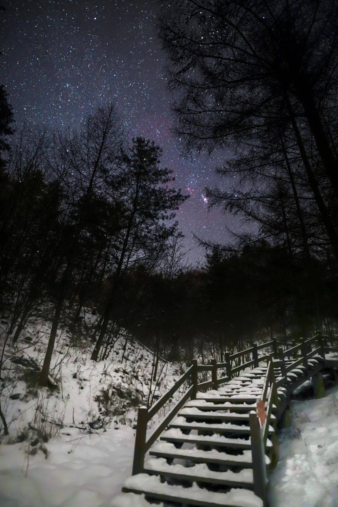 秦岭雪乡追星记这才是冬天最美的夜空