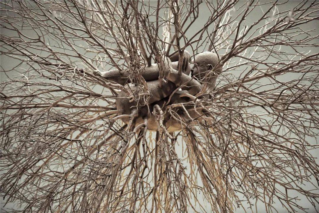 生态艺术论坛 |《土地关怀》2020"世界土壤日论坛"开幕