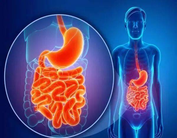 广东师奶信了这鬼话,差点丧命!_脾脏