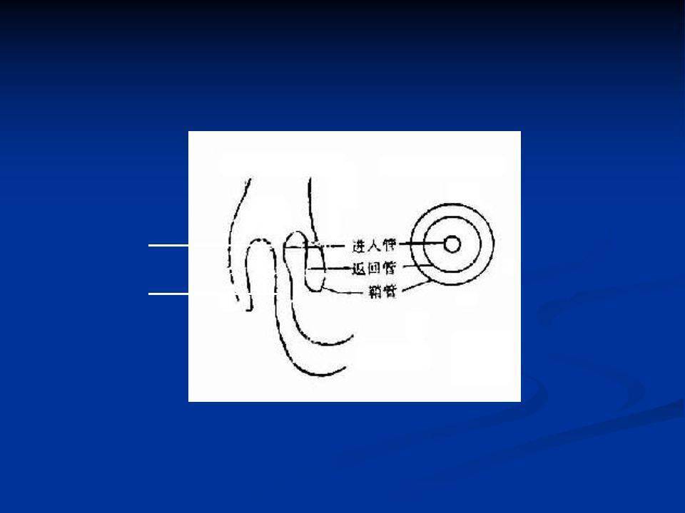 高清图片文字讲解肠梗阻的分类及影像学表现