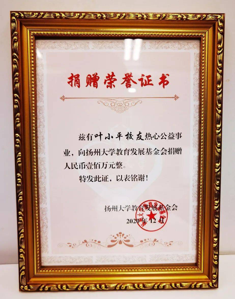 98洪岑为强怀娣颁发捐赠荣誉证书98援鄂医疗队队员代表邵向荣向强