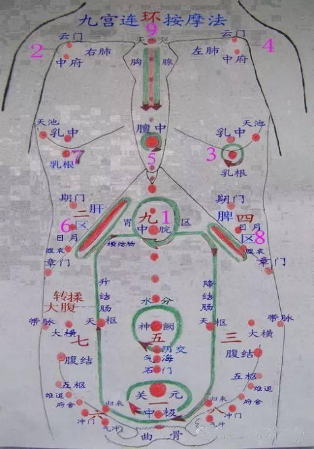 腹部12个压痛点示意图图片