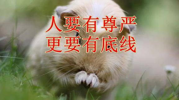 人要有尊严更要有底线