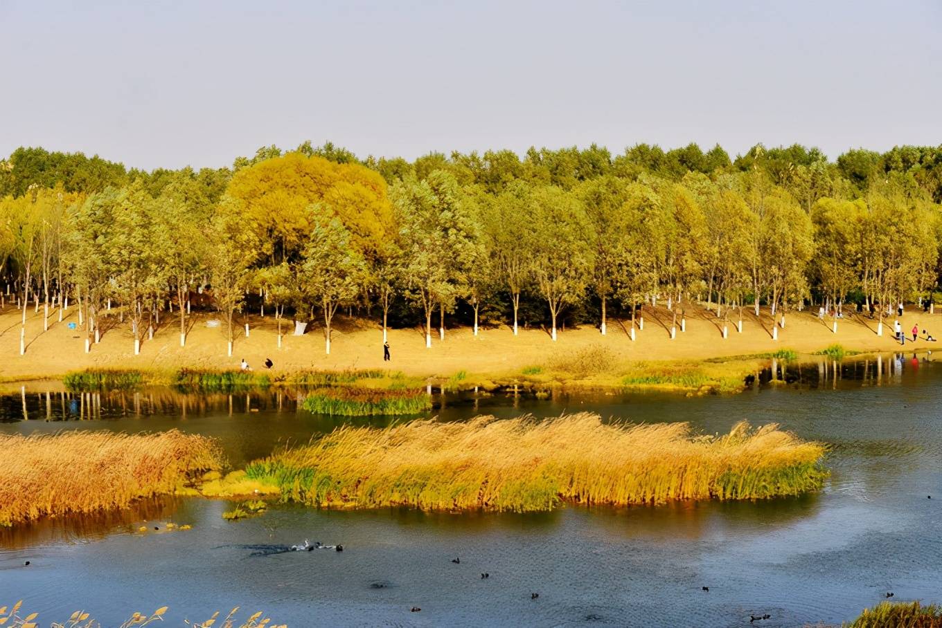 南苑森林溼地公園將建成為首都南部結構性生態綠肺,享譽世界的千年