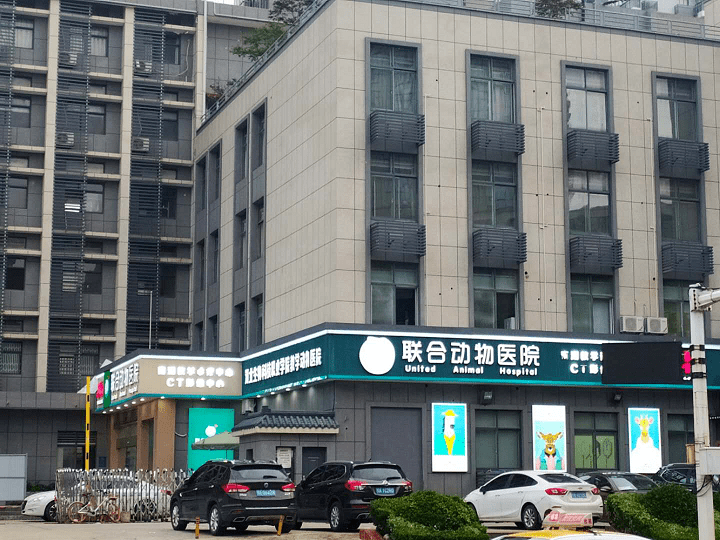 《守望春归》作者:康信文 | "兽医抗疫图鉴"获奖作品分享_动物医院