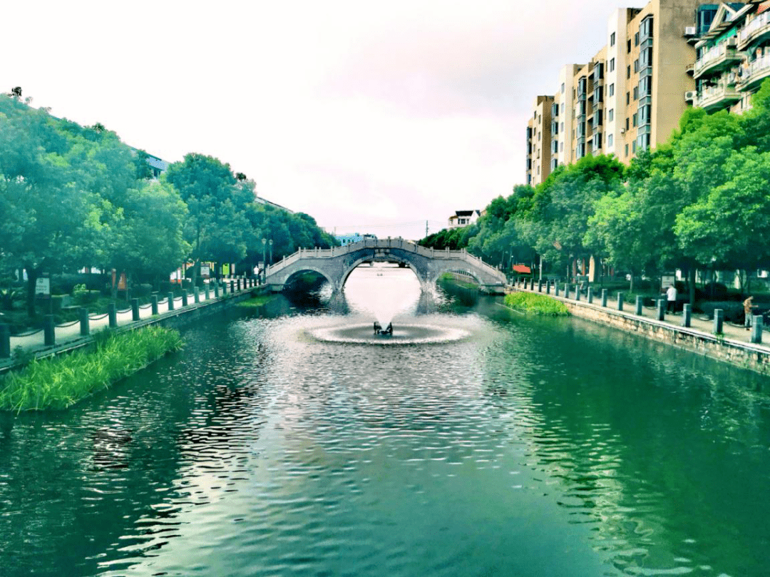 开门一件事⑧ | 宜山镇宜一社区:打造文化阵地 筑就精神家园_手机搜狐