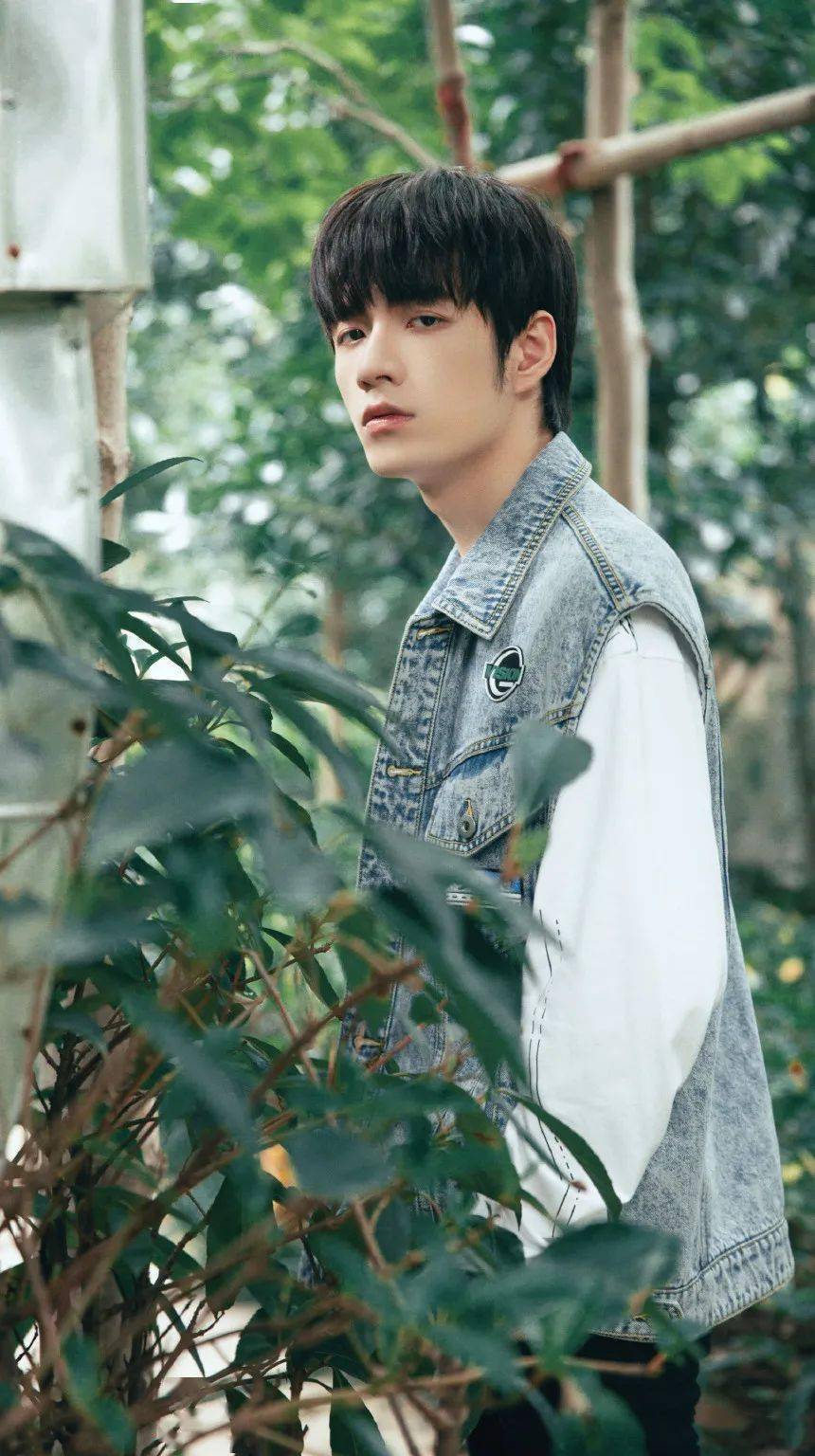 手机壁纸r1se张颜齐