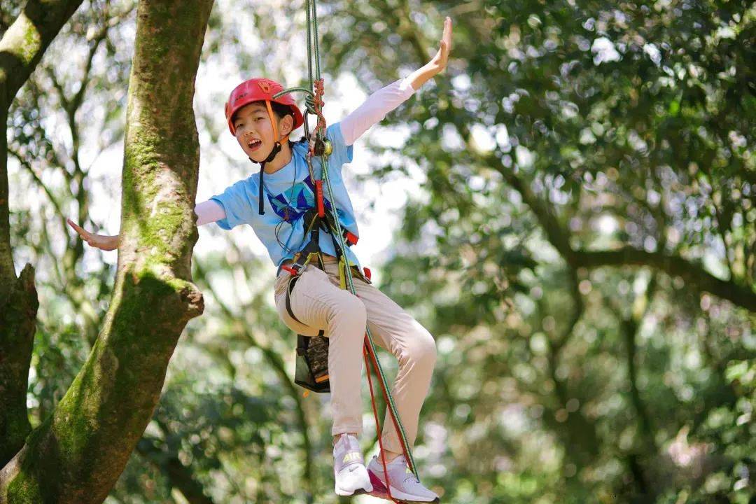 招募令 | 营地搭建,丛林飞跃,叶县少年生存营招募成员啦