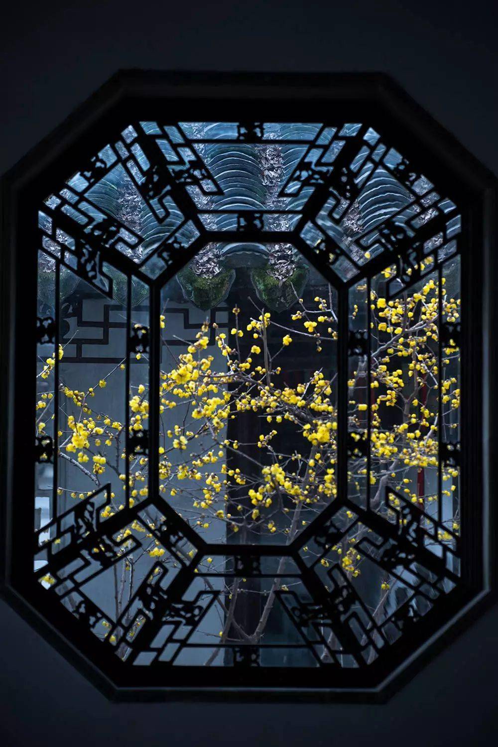 庭院窗棂里的诗与画