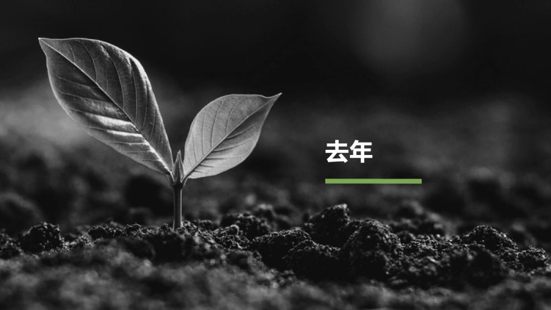 2020年注定是不平凡的一年.