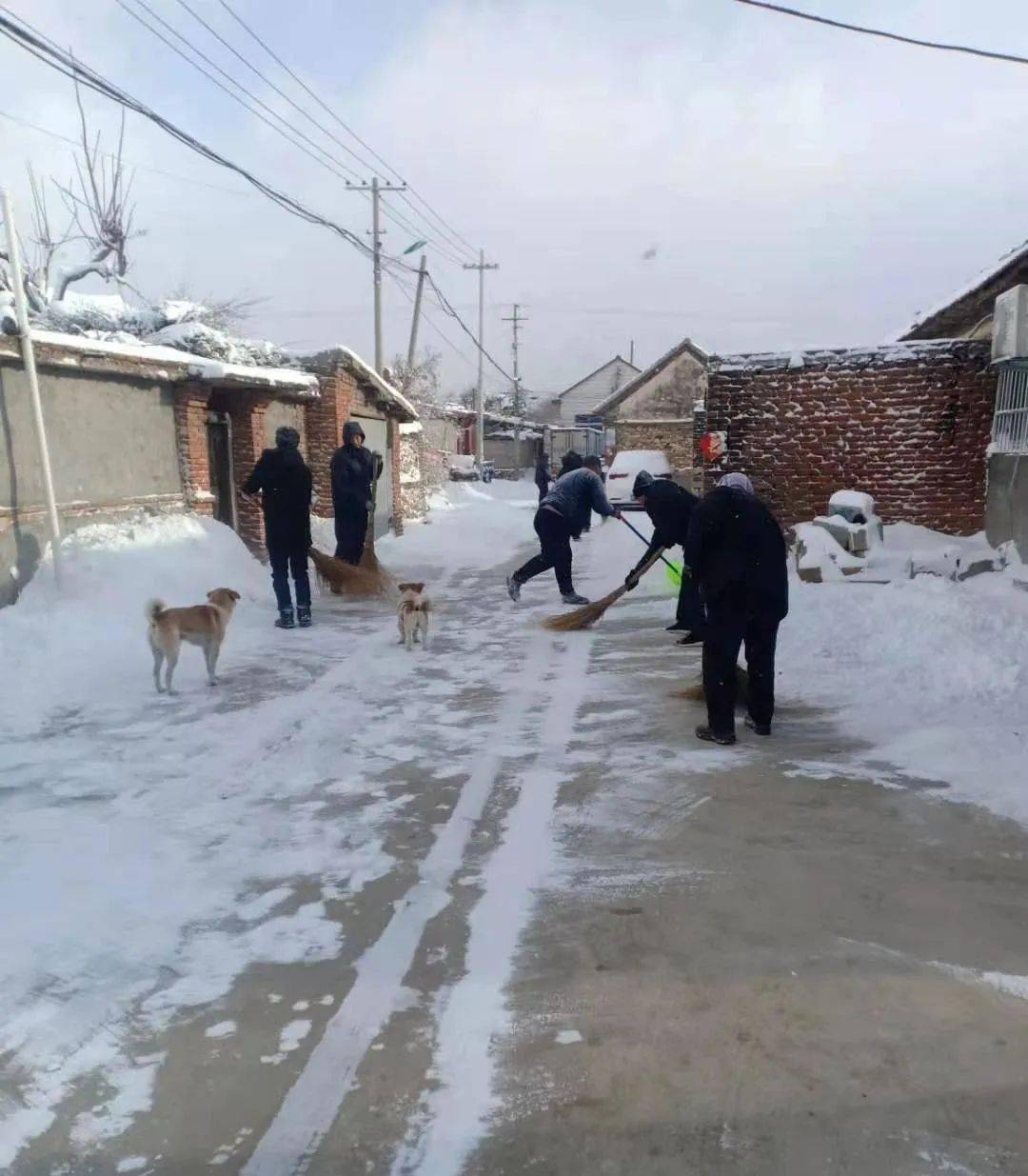 大雪无痕雪落无声党员群众齐上阵扫雪除冰显真情