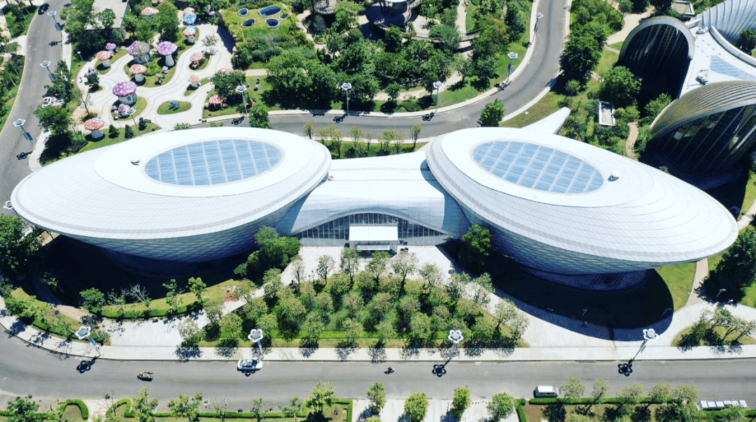 海花岛博物馆原生艺术馆作品征集结束,大展即将开启