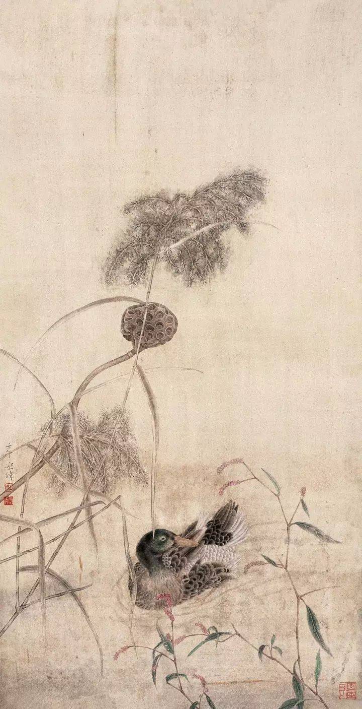 江宏伟丨不负花鸟