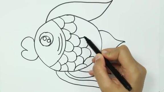 儿童简笔画:漂亮黄金鱼
