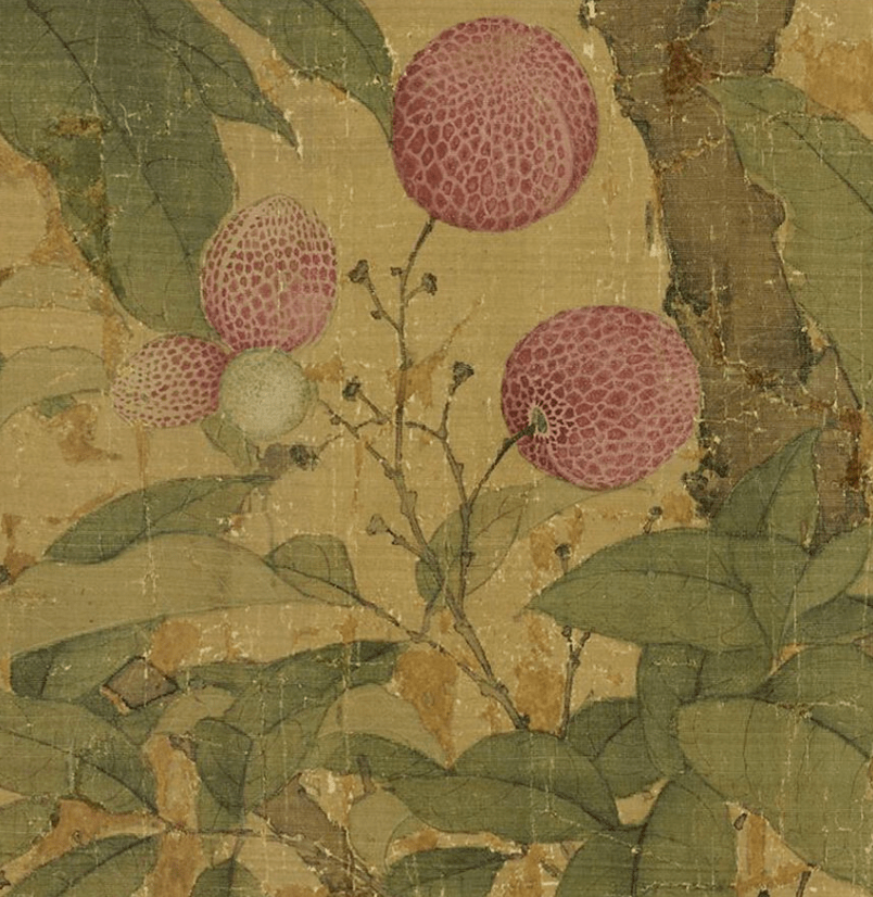 一骑红尘妃子笑看看宋徽宗笔下的荔枝图