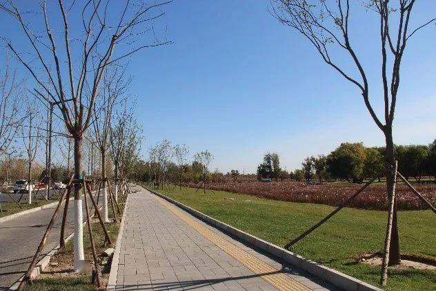 城市绿心基础设施综合规划系列之三规划综合统筹精准面向实施全面推进