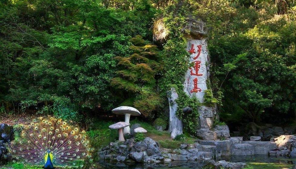 免门票游景区建德市2021年旅游惠民政策来啦