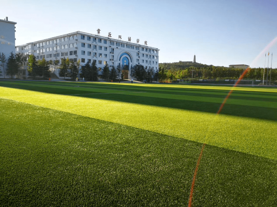 重磅章丘双语学校可预约报名了