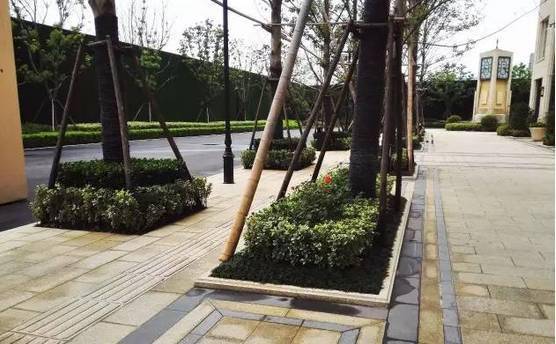 将树坑包围,也有各种圆形等款式,就看设计师如何设计出美观的造型了