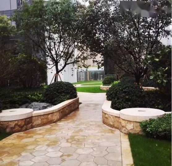 花岗岩树池欣赏