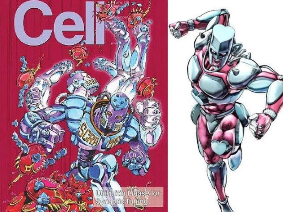 趣闻日本漫画界的真香神话与gucci合作去卢浮宫办展半部jojo引领一个