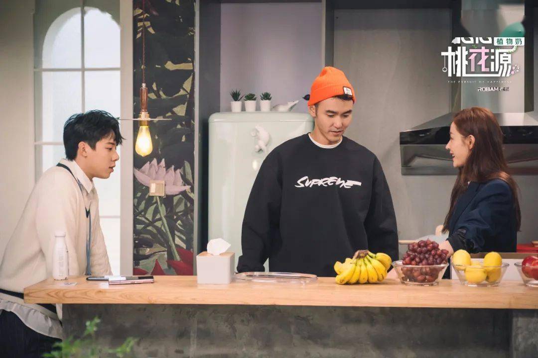 浙江卫视念念桃花源迎开播阮经天张天爱周奇入住桃花源