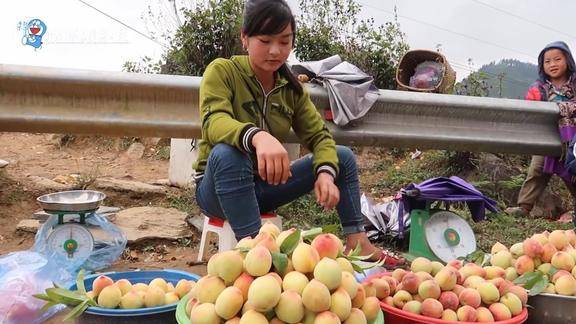 桃子熟了路边有好多人在卖桃子还挺甜的