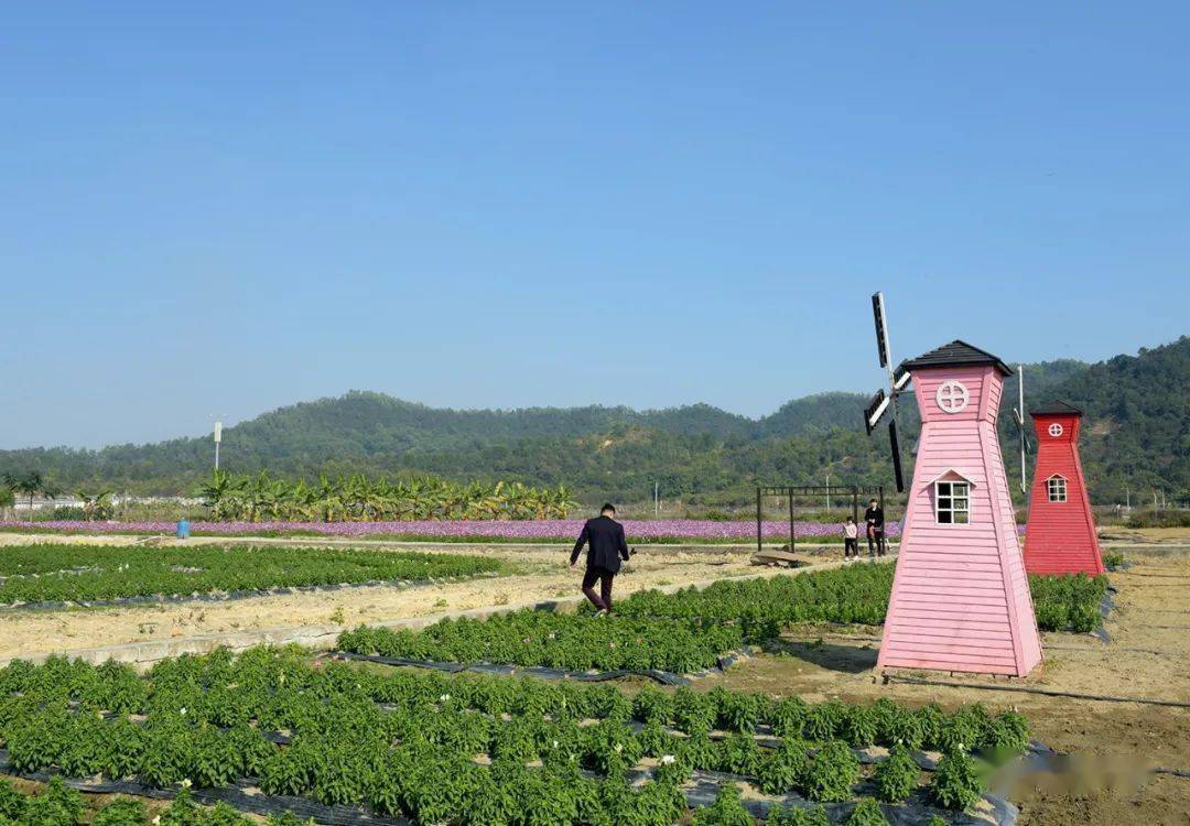 【小城绿园】地 址:普宁市梅塘镇大东