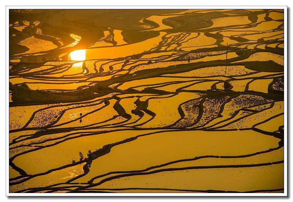 元阳梯田世界上最美的曲线