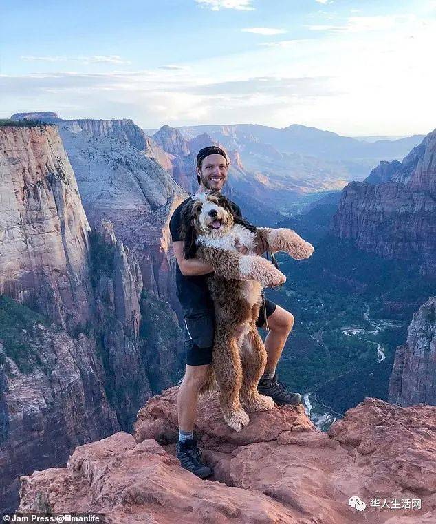 一人一狗一世界