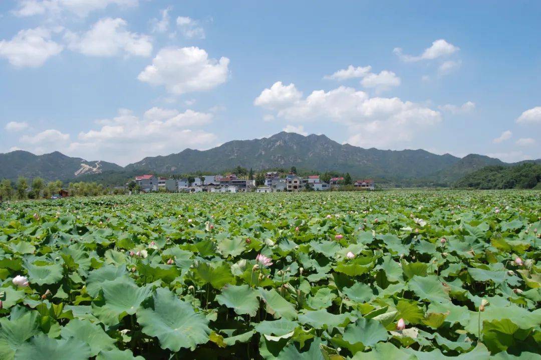 龍游首個aaa景區再獲新稱號~_天池