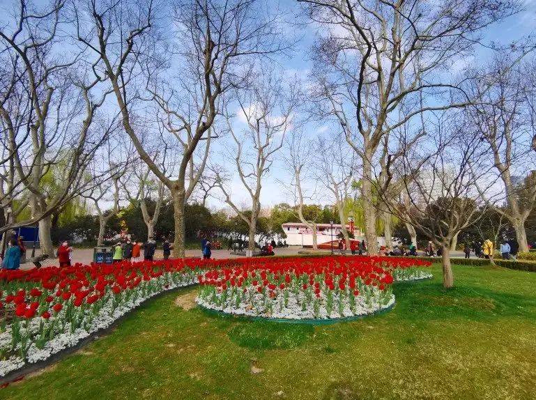 喜報中山公園被評定為上海市五星級公園