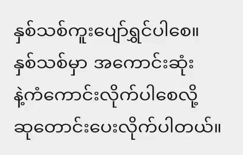 天外热词翻译达人社缅甸语译员赵佳佳bonne année!新年好!