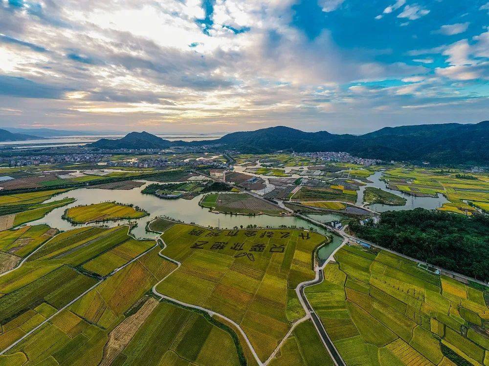 乐清3地获评温州市"最美田园,有你家附近的吗?
