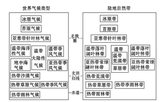 植被带分布图简易图图片