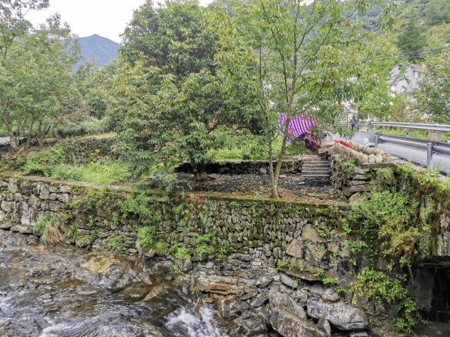 临安区新时代美丽乡村建设成果展(一)——湍口镇桐坑村