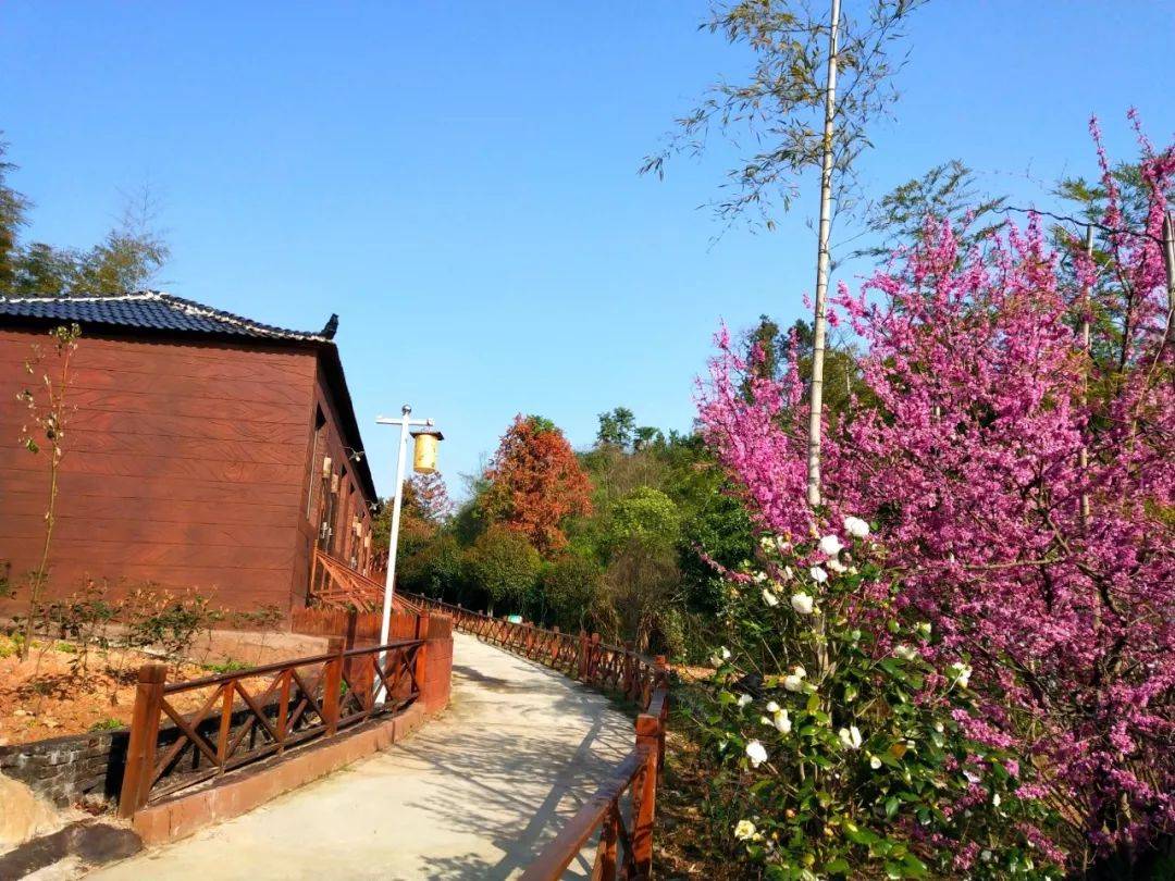 市级职工疗休养基地巡展①:衢州悦龙湾度假山庄,吃住玩乐购攻略在此啦