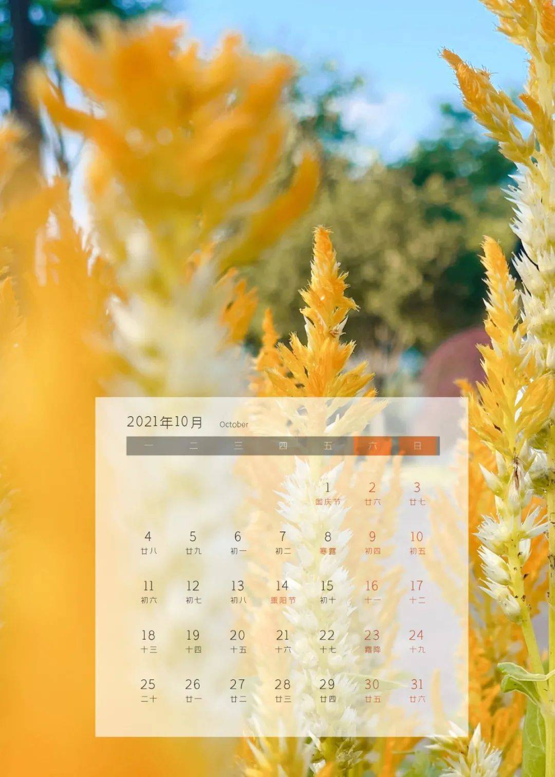 专属于你2021信科版月历来了