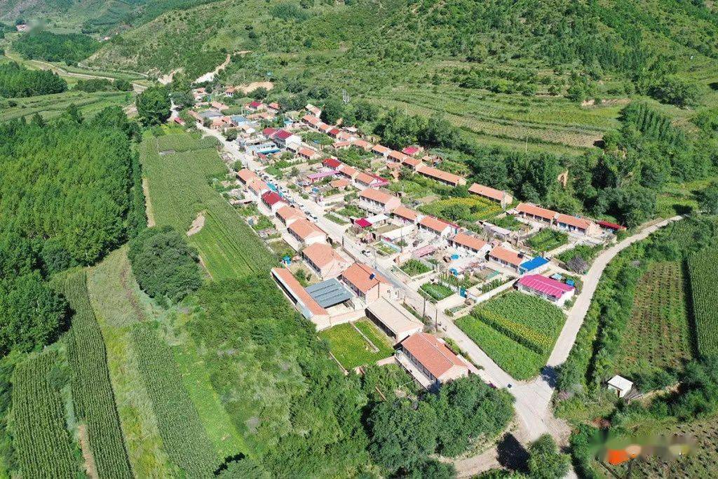 决战决胜脱贫攻坚河北围场八号地村燕山深处小山村的华丽转身